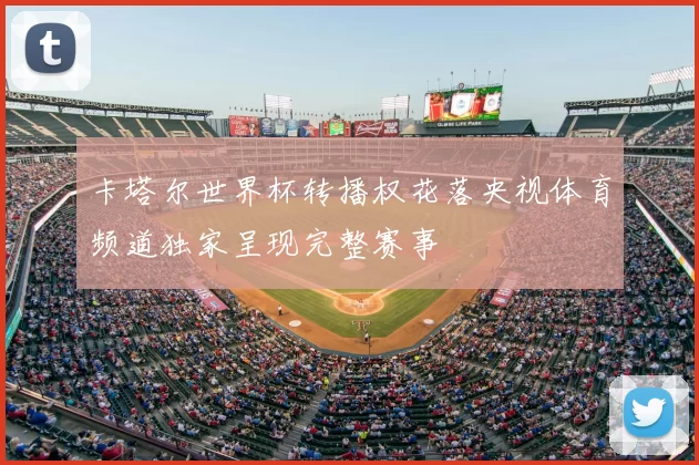 卡塔尔世界杯转播权花落央视体育频道独家呈现完整赛事