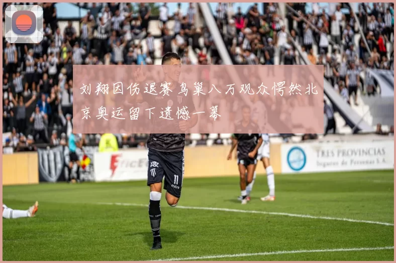 刘翔因伤退赛鸟巢八万观众愕然北京奥运留下遗憾一幕