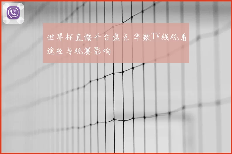 世界杯直播平台盘点 华数TV线观看途径与观赛影响