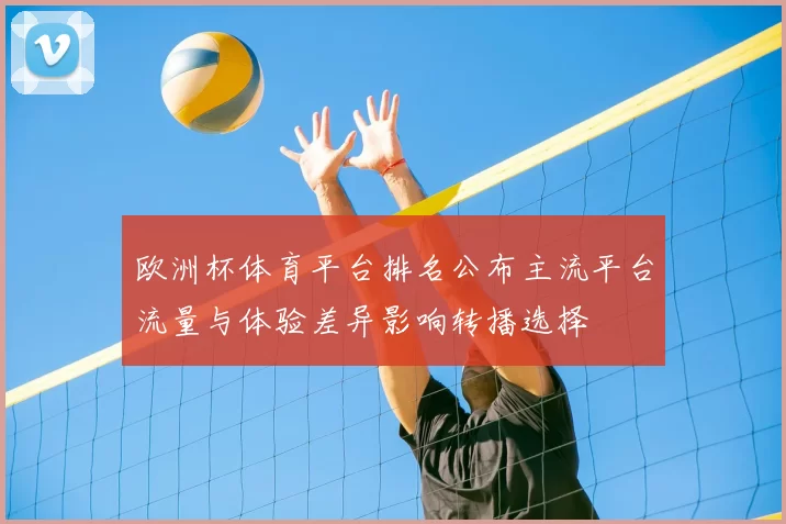 欧洲杯体育平台排名公布主流平台流量与体验差异影响转播选择