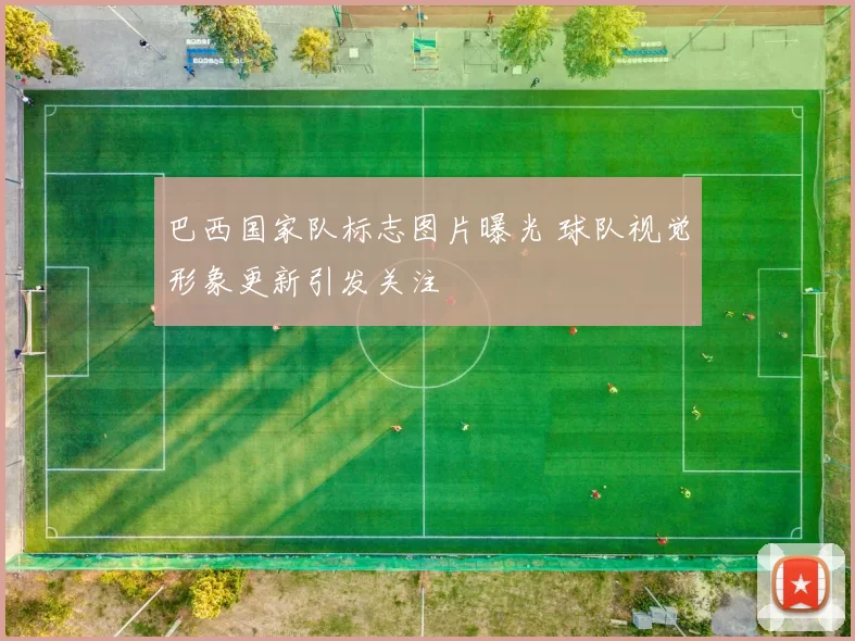 巴西国家队标志图片曝光 球队视觉形象更新引发关注