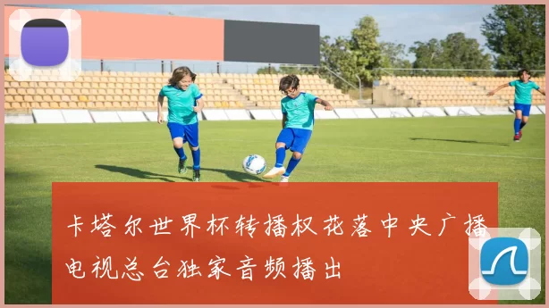 卡塔尔世界杯转播权花落中央广播电视总台独家音频播出